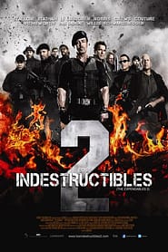 Los indestructibles 2